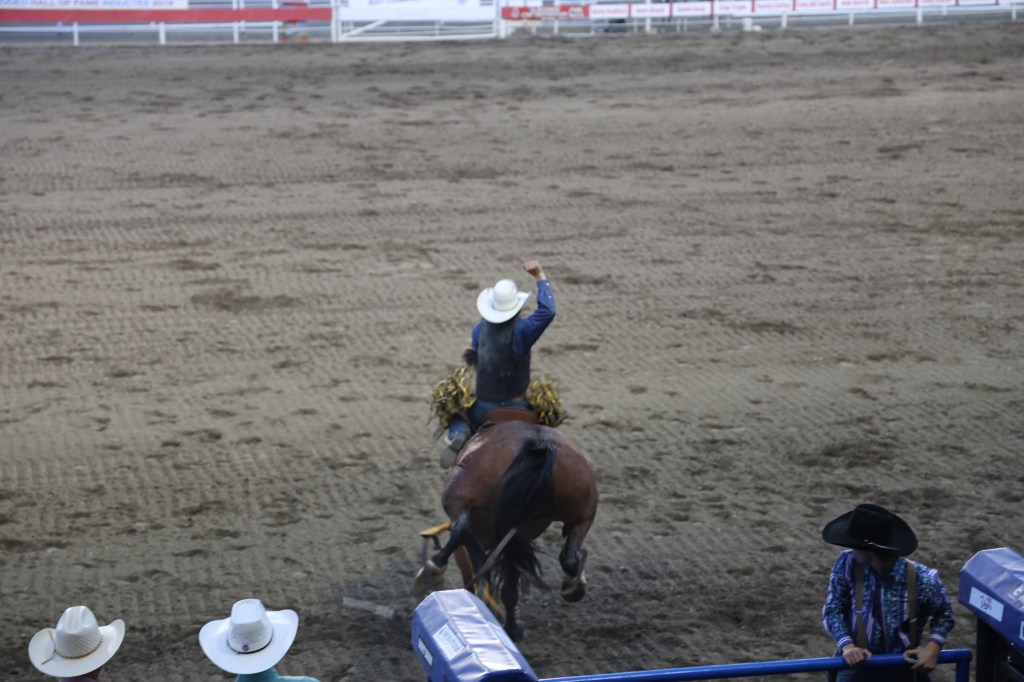 This Was My First Rodeo 